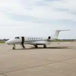 boş bacak uçuş görseli